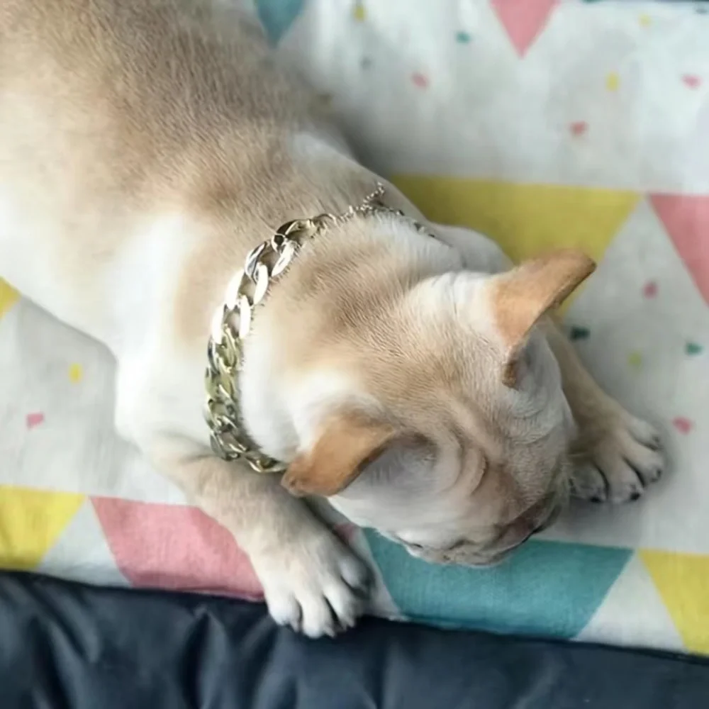 Dog‎ exaggerated necklace
